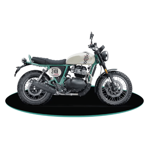 Bear 650